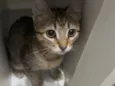 Mimi