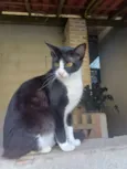 Júlia