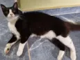 Júlia