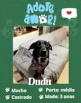 Dudu 