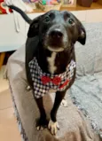 Dudu 