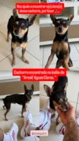Sem nome