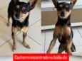 Sem nome