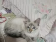 CINZINHA