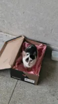 Tony