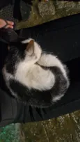 Tony