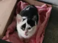 Tony