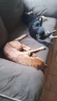 Luna e sol