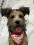 Ted