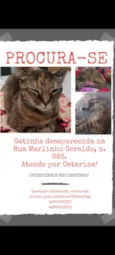 Catarina