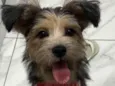 Ted