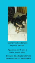 pretinha 