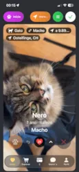 Nero