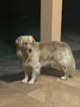 Luck