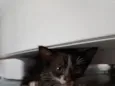 Não tem 