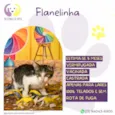 Flanelinha