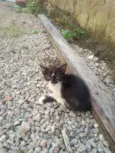 Cloe