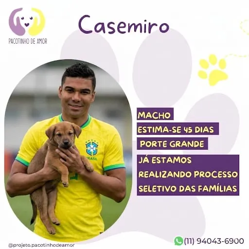 Cachorro raça SRD-ViraLata idade Abaixo de 2 meses nome Casemiro