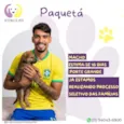 Paquetá