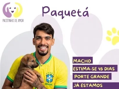 Cachorro raça SRD-ViraLata idade Abaixo de 2 meses nome Paquetá