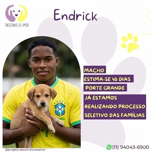 Cachorro raça SRD-ViraLata idade Abaixo de 2 meses nome Endrick