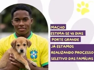 Cachorro raça SRD-ViraLata idade Abaixo de 2 meses nome Endrick