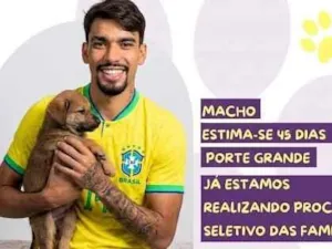 Cachorro raça SRD-ViraLata idade Abaixo de 2 meses nome Paquetá