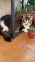Lua