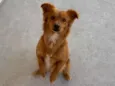 Léo 