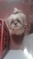 não sei o nome