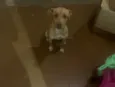 Théo