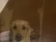 Théo