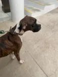 Lua