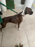 Lua
