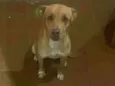 Théo