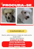 CARAMELO