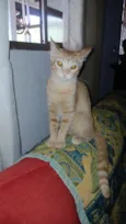 tina