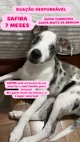 SAFIRA