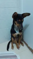Lua