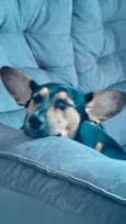 Lua