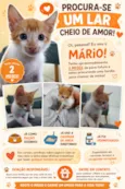 Mário