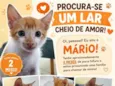 Mário