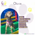 Olivia