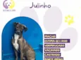 Julinho