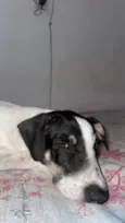 Lola