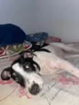 Lola