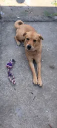 Lilo