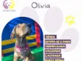 Olivia