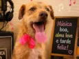 Princesa
