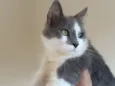 Fred